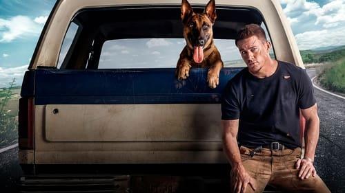 Šuo filmas žiurėti online