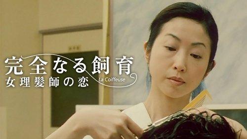 Perfect Education 5: Amazing Story filmas žiurėti online