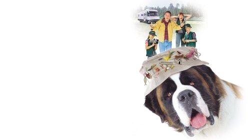 Bethovenas 3 filmas žiurėti online