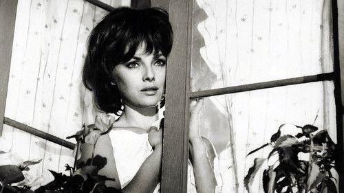 The Birds, the Bees and the Italians filmas žiurėti online