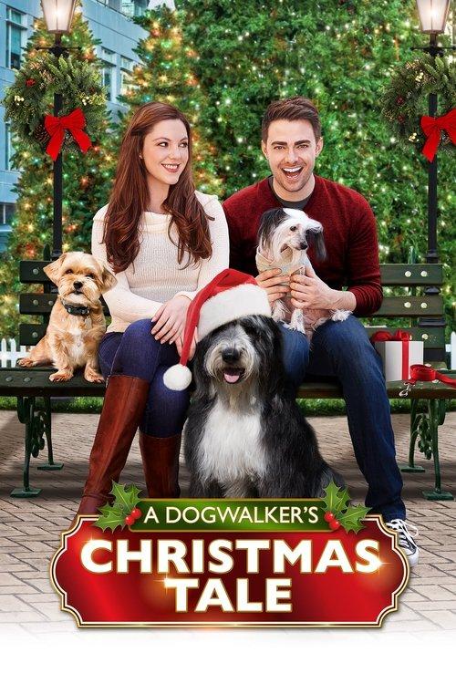 A Dogwalker's Christmas Tale filmas online