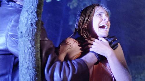 Murder Obsession filmas žiurėti online