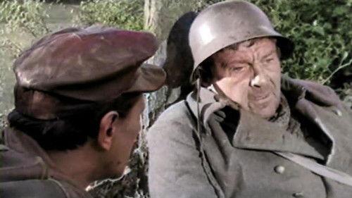 Cat Under a Helmet filmas žiurėti online