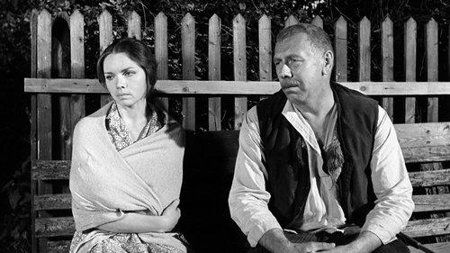 One Times One filmas žiurėti online