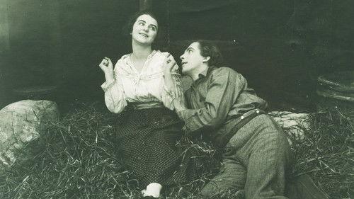 Song of the Scarlet Flower filmas žiurėti online