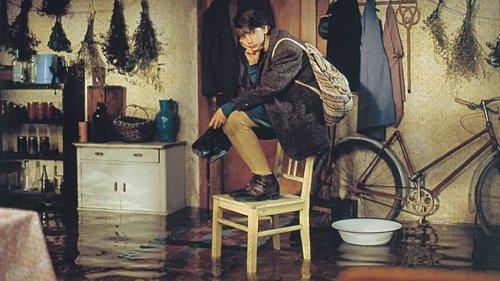 Orbis Pictus filmas žiurėti online