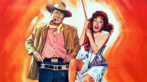 McLintock! filmas žiurėti online