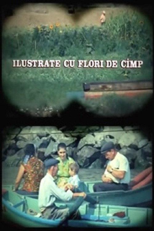 Ilustrate cu flori de câmp filmas online