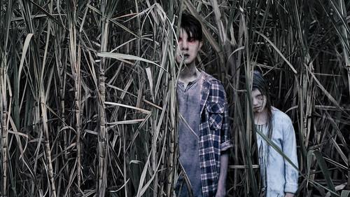 Sweet River filmas žiurėti online