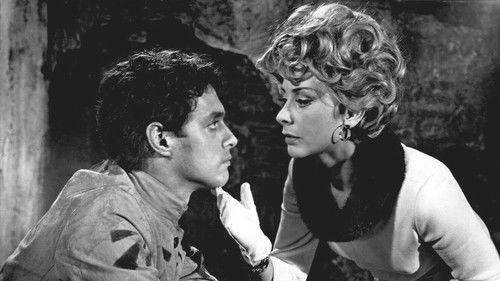 Decline and Fall ...of a Birdwatcher filmas žiurėti online