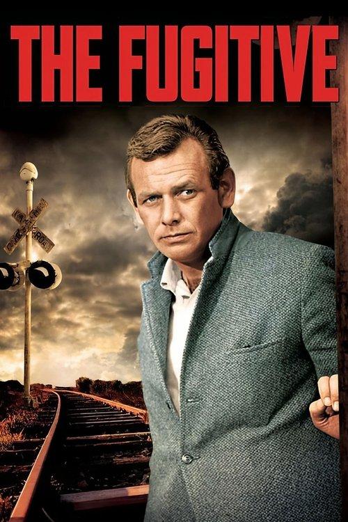 The Fugitive filmas online