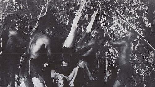 Miss Robin Crusoe filmas žiurėti online