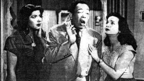 Women Can’t Lie filmas žiurėti online