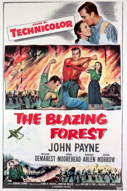 The Blazing Forest filmas online