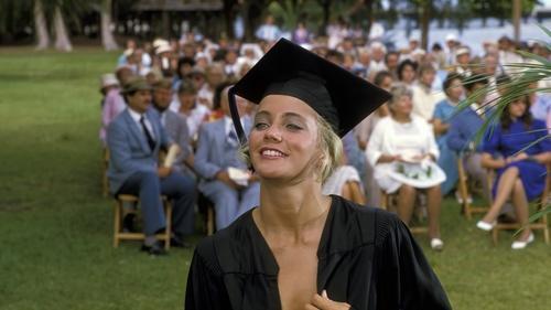 Kiaulysčių namai 3:.Kerštas filmas žiurėti online