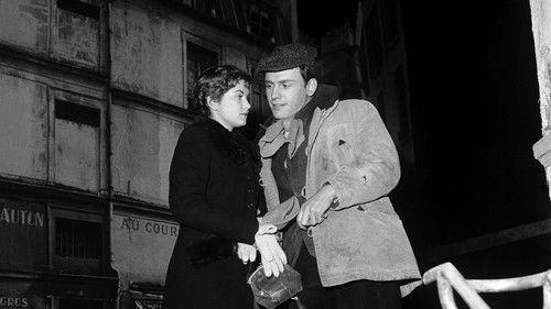 Law of the Streets filmas žiurėti online