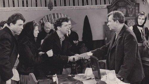 Setea filmas žiurėti online