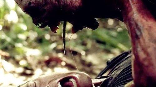 Indigenous filmas žiurėti online