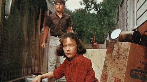 A Tiger Walks filmas žiurėti online