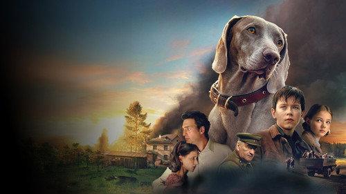 Каруза filmas žiurėti online
