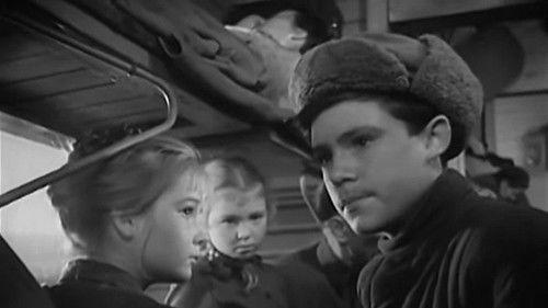 Introduction to Life filmas žiurėti online