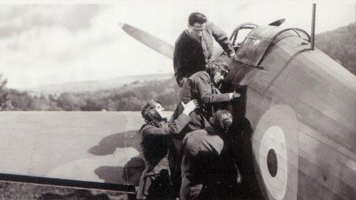 The Flemish Farm filmas žiurėti online