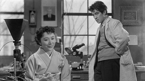 Till We Meet Again filmas žiurėti online