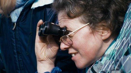 13 Days in France filmas žiurėti online