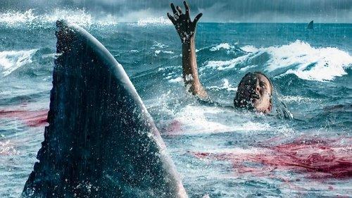 Beneath the Surface filmas žiurėti online