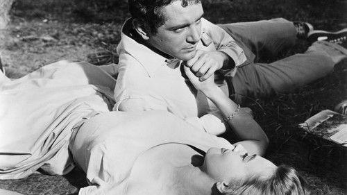 A Cold Wind in August filmas žiurėti online