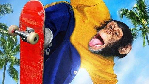 Beždžionėlė riedlentininkė filmas žiurėti online