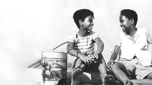 Rio, 100 Degrees F° filmas žiurėti online