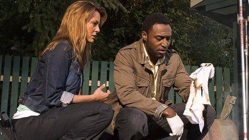 Cries in the Dark filmas žiurėti online