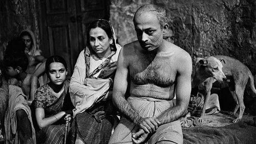 Calcutta 71 filmas žiurėti online