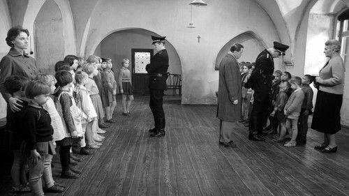 Birth Certificate filmas žiurėti online