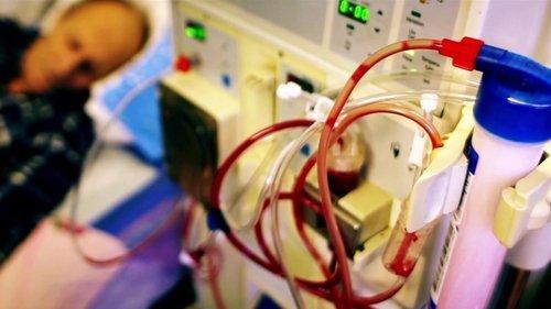 What the Health filmas žiurėti online