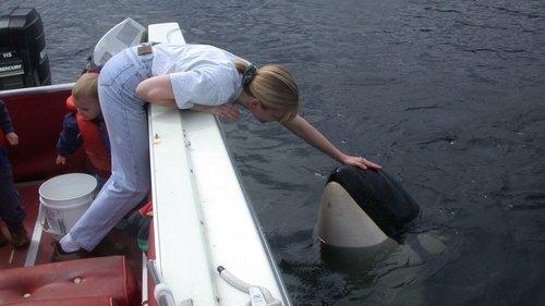 The Whale filmas žiurėti online