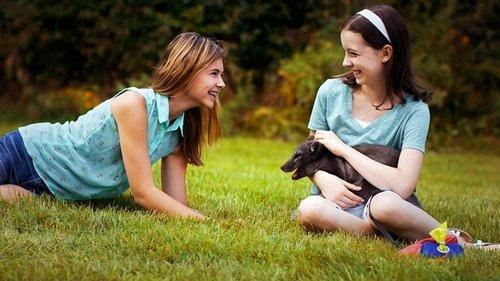 Amanda and the Fox filmas žiurėti online