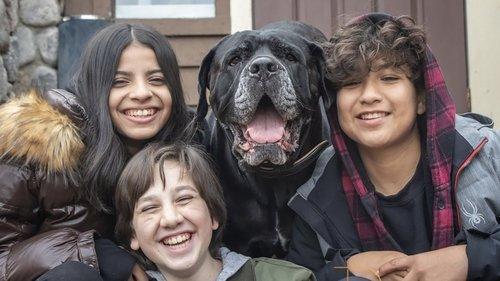 Dog Patrol: Operation Santa Paws filmas žiurėti online