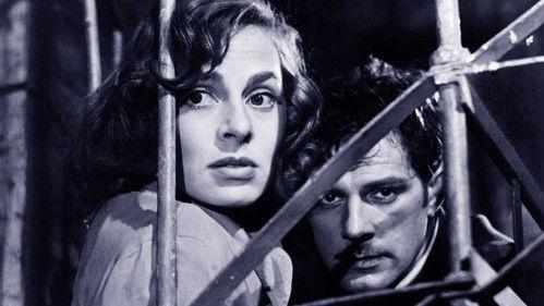 Four in a Jeep filmas žiurėti online