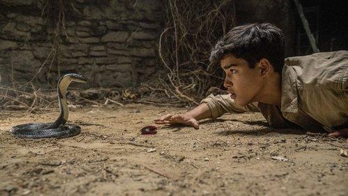 Iqbal & the Jewel of India filmas žiurėti online