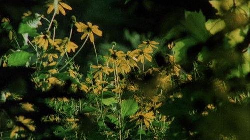 Private Vices, Public Virtues filmas žiurėti online