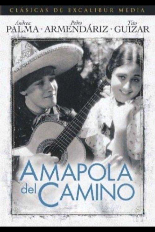 Amapola Del Camino filmas online