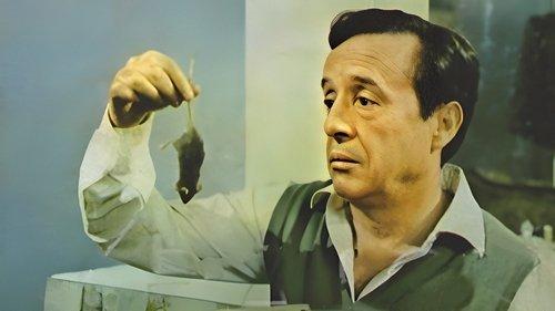 Don Ratón y Don Ratero filmas žiurėti online