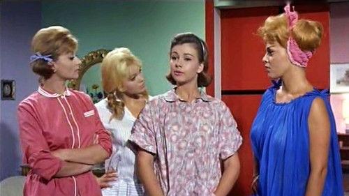 Caccia al marito filmas žiurėti online