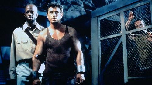 Total Reality filmas žiurėti online