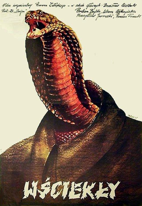 Wściekły filmas online