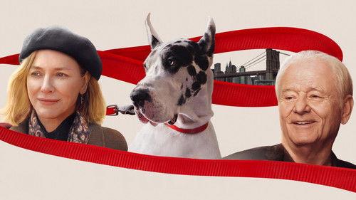 The Friend filmas žiurėti online