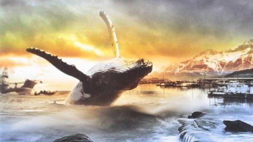 A Whale for the Killing filmas žiurėti online