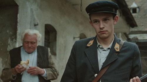 Ružové sny filmas žiurėti online